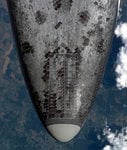 discovery5_426.jpg