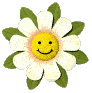happy_daisy_lg_clr_124.gif