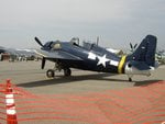 wildcat_3_211.jpg