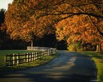 autumnrdb2_179.jpg