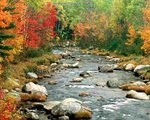 autumn_colors__white_mountains__new_hampshire_210.jpg