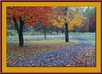 4078trees_208.jpg