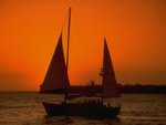 sunsail_807.jpg