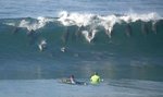 194-dolphins_132.jpg