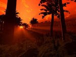 redsky_581.jpg