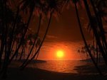 sunset_927.jpg