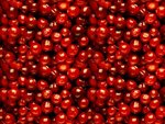 cranberry2_109.jpg