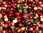 cranberry5_949.jpg