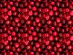 cramberry7b_678.jpg