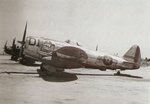 Republic P-47 Thunderbolt 005.jpg