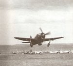 Republic P-47 Thunderbolt 006.jpg