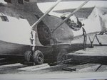 STA50984.JPG