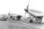 North American P-51 Mustang 005.jpg