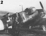 svz_02.jpg