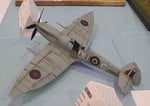 8_Spitfire Mk.VII_0227.jpg