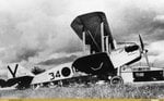 avc_00194727.jpg