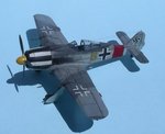 29_Fw190A-8_0169.jpg