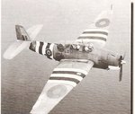 FAA TBF single 04.jpg