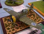11_Curtiss Hawk 75_0229.jpg