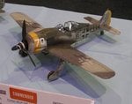 12_Fw190f-8_0689.jpg