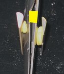 15c ailerons.jpg