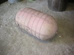 SANY1075.JPG