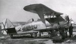 Henschel%20Hs-123%20Angelito%20001.jpg