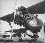 Henschel%20Hs-123%20Angelito%20006.jpg