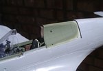 59_Rear canopy Paint_0395.jpg