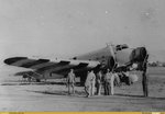 avc_00193848.jpg