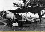 avc_00182244.jpg