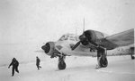 bl173.jpg