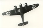 blenheim-1.jpg
