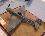 1_Yak 3_0471.jpg