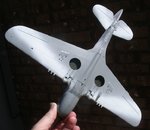 66_White Markings_0488.jpg