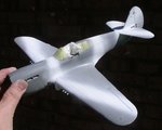 67_White Markings_0490.jpg