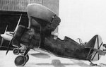 Polikarpov%20I-15%20Chato%20003.jpg