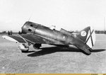 avc_00175236.jpg