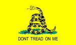 gadsden1.jpg