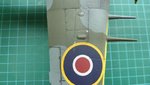 wing details 001 - resized.jpg