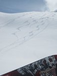 IMG_0646.jpg