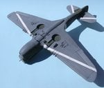 88_Panel Lines_0639.jpg
