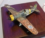 17_Fiat G-50_0745.jpg