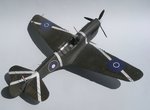 4_P-40M_3690.jpg