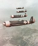 IAR.80 008.jpg