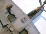 p39bottom_3.jpg