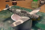 110417 Camo Started.jpg