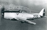 Republic P-47 Thunderbolt 002 (1).jpg