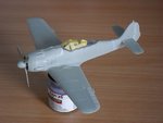 Fw - 5_01.JPG