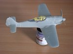 Fw - 5_03.JPG